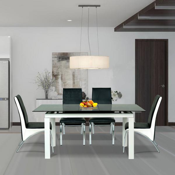 Bộ Bàn ghế ăn B55-G55